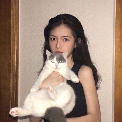 星盟舰队内购破解版下载